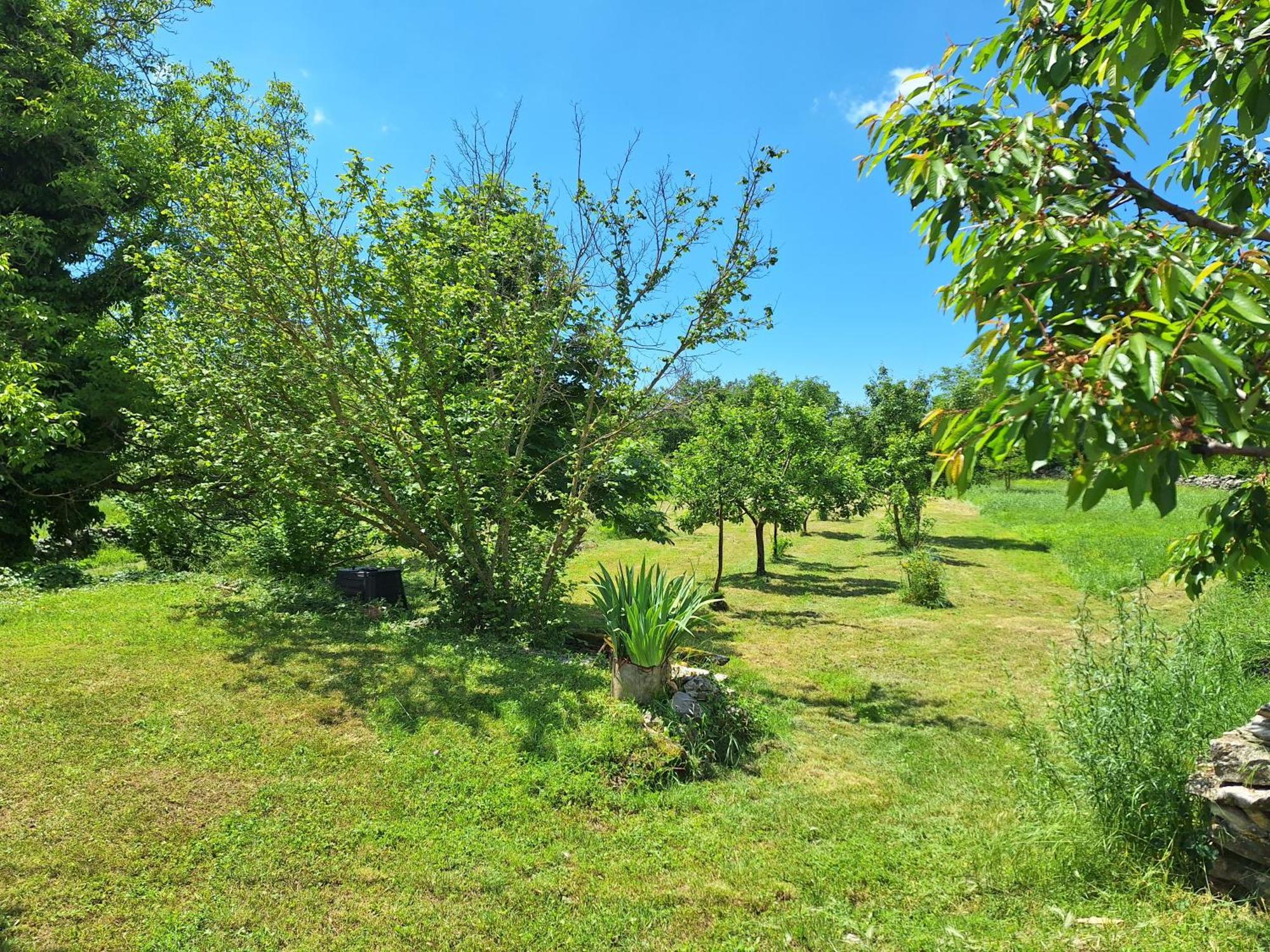 Villa Malini Grožnjan Exterior foto